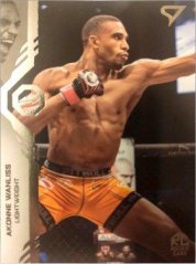 AKONNE WANLISS 2024 Sportzoo Oktagon MMA