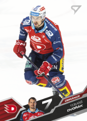 TOMÁŠ DVOŘÁK SportZoo 2025-26 II.serie