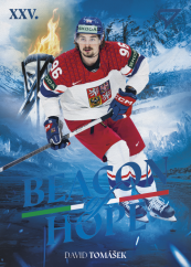DAVID TOMÁŠEK 2026 Hokejové Česko SportZoo BEACON OF HOPE