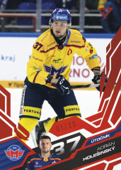 ADRIÁN HOLEŠINSKÝ SportZoo ELH 2025/26 Play Off Ruby Red 12/25