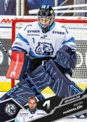 PETR HAMALČÍK 25-26 SportZoo Série1 Tipsport ELH