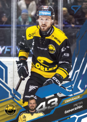 PETR ŠENKEŘÍK SportZoo ELH 2025/26 Play Off Azzure Blue