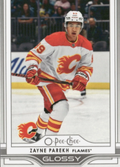 ZAYNE PAREKH 25-26 UD Hockey Série1 GLOSSY SILVER