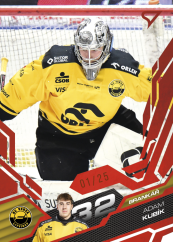 ADAM KUBÍK SportZoo ELH 2025/26 Play Off Ruby Red 15/25