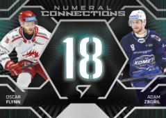 FLYNN – ZBOŘIL SportZoo 2025-26 II.serie Numeral Connections