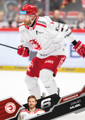DAVID MUSIL 2025-26 SportZoo