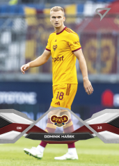 DOMINIK HAŠEK 2024-25 SportZoo
