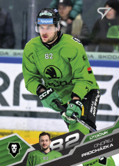 ONDŘEJ PROCHÁZKA SportZoo ELH 2025/26 Play Off