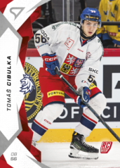 Tomáš Cibulka 2025 SportZoo Hokejové Česko