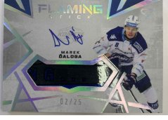 MAREK ĎALOGA 24-25 SportZoo Série1 Tipsport ELH FLAMING STICK AUTO 02/25