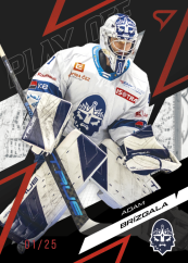 ADAM BRÍZGALA SportZoo ELH 2025/26 Play Off Moment Ruby Red 14/25