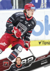 PAVEL ŠIMEK SportZoo 2025-26 II.serie