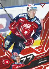 MICHAL HRÁDEK SportZoo ELH 2025/26 Play Off Ruby Red 10/25