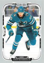 SHAKIR MUKHAMADULLIN 2024-25 OPC