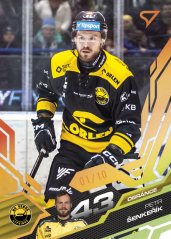 PETR ŠENKEŘÍK SportZoo ELH 2025/26 Play Off Amber Gold 04/10
