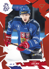 LIBOR HÁJEK 2026 Hokejové Česko SportZoo Scarlet Red