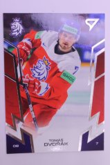 TOMÁŠ DVOŘÁK - SportZoo Hokejové Česko 2024