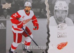 DYLAN LARKIN 23-24 UD Ice