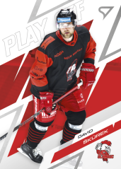 DAVID ŠKŮREK SportZoo ELH 2025/26 Play Off Base Set