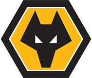 Originální licencované kartičky Wolverhampton Wanderers F.C.