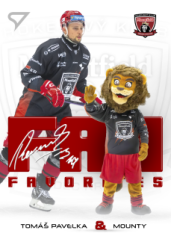 TOMÁŠ PAVELKA 24-25 SportZoo PlayOff Tipsport ELH FUN Favorites