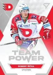 Robert Říčka 21-22 SportZoo Série1 Tipsport ELH Team Power