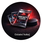 Ostatní hokej