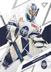 ADAM BRÍZGALA SportZoo ELH 2025/26 Play Off Base Set