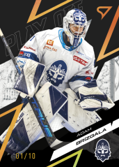 ADAM BRÍZGALA SportZoo ELH 2025/26 Play Off Moment Amber Gold 08/10