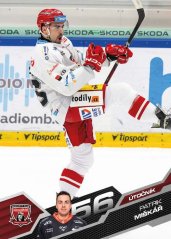 PATRIK MIŠKÁŘ 25-26 SportZoo Série1 Tipsport ELH