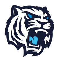 Bílí Tygři Liberec - Typ karty - Base