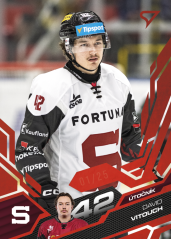 DAVID VITOUCH SportZoo 2025-26 II.serie Ruby Red 20/25