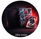 Alba hokej