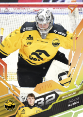 ADAM KUBÍK SportZoo ELH 2025/26 Play Off Amber Gold 06/10