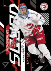 DAVID ŠŤASTNÝ 24-25 SportZoo Série2 Tipsport ELH Powerplay Squad