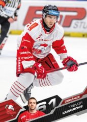 TREVOR COSGROVE 25-26 SportZoo Série1 Tipsport ELH