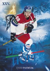 DAVID PASTRŇÁK 2026 Hokejové Česko SportZoo BEACON OF HOPE