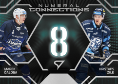 ĎALOGA – ZILE SportZoo 2025-26 II.serie Numeral Connections