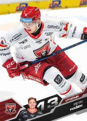 PETR HAŠEK 25-26 SportZoo Série1 Tipsport ELH