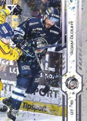 ADAM DLOUHÝ SportZoo Play Off 2025 Puck Marks