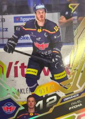 PAVEL PÝCHA 2025-26 SportZoo Amber Gold 03/10