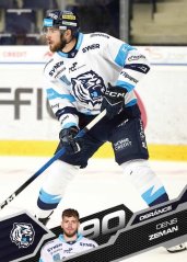 DENIS ZEMAN 25-26 SportZoo Série1 Tipsport ELH