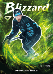 HARALDS EGLE 2025-26 SportZoo Blizzard Forrest Green 17/99